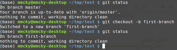 ../../_images/terminal-git-checkout.png